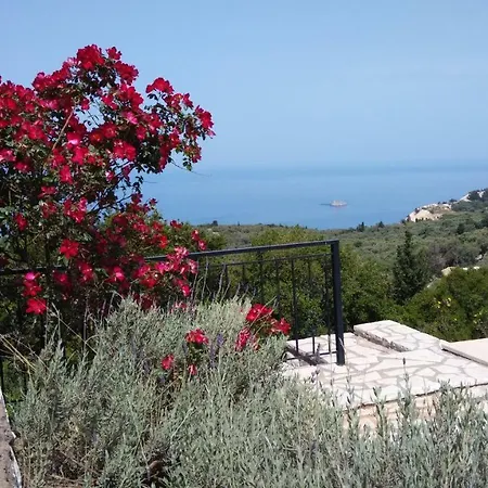 Harmony And Horizon *