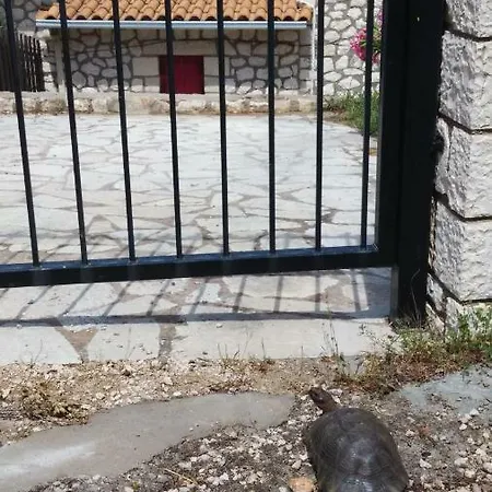 Harmony And Horizon Βίλα Αθάνι