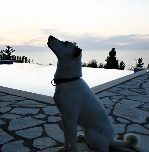 فيلة Harmony And Horizon Athánion